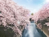 石神井川(約30m/徒歩1分)