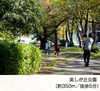 美しが丘公園