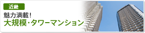 魅力満載！大規模・タワーマンション