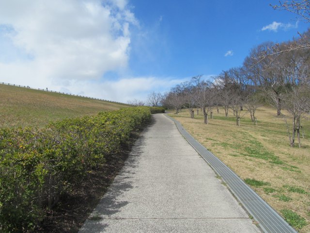 県立狭山自然公園2（早稲田大学所沢キャンパス）