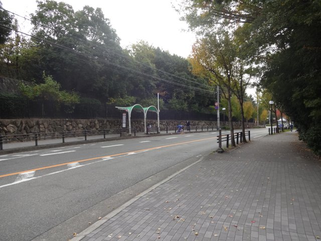 神戸六甲線（神戸大学六甲台第１キャンパス）