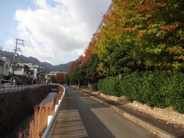 杣谷川（神戸大学六甲台第１キャンパス）