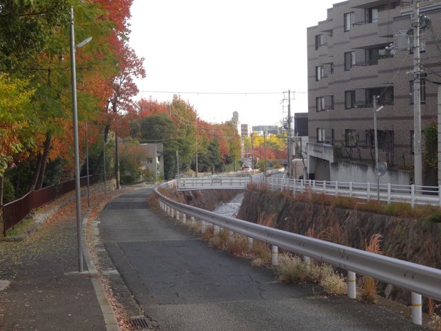 杣谷川（神戸大学六甲台第１キャンパス）