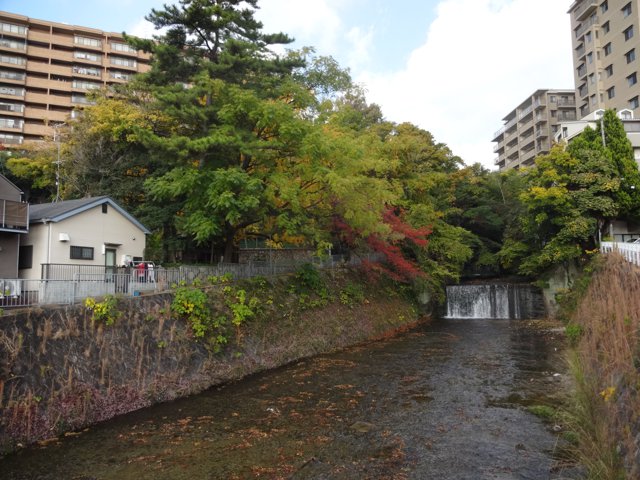 六甲川（神戸大学六甲台第１キャンパス）