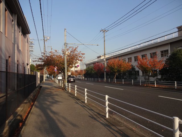 山麓線（神戸大学六甲台第１キャンパス）