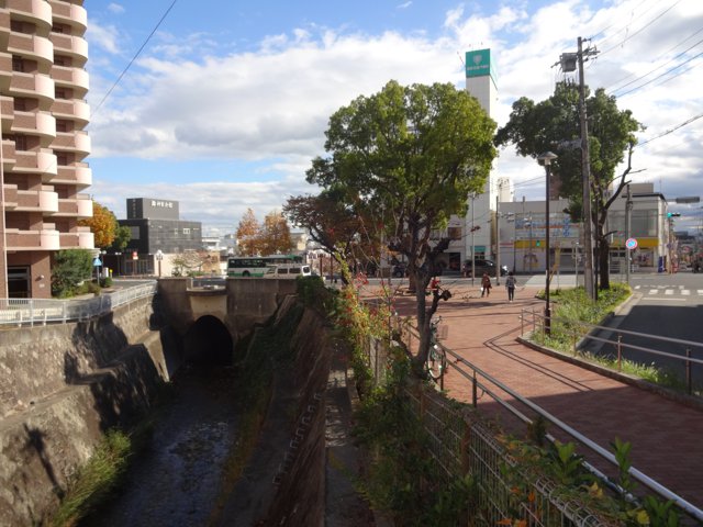 西郷川（神戸大学六甲台第２キャンパス）