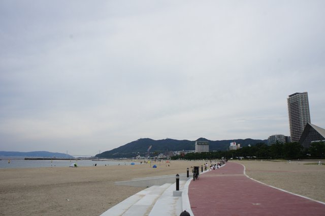須磨海浜公園付近（神戸大学名谷キャンパス）