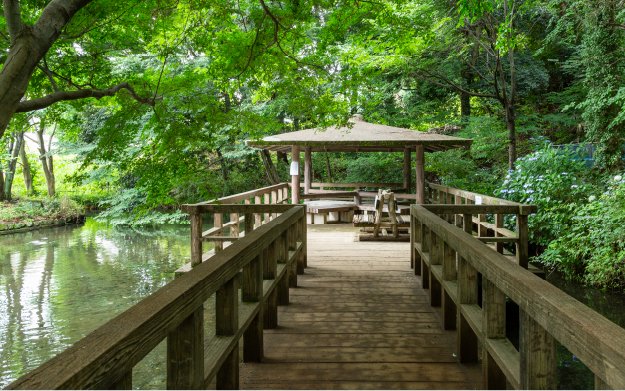 黒川清流公園