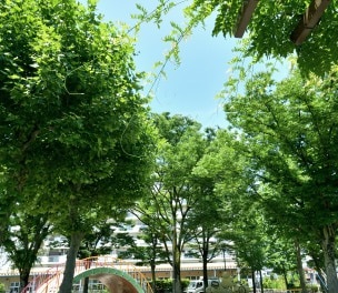 竹の塚第一公園