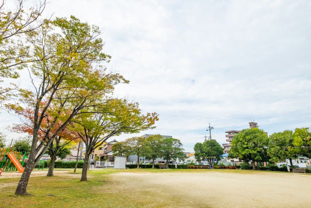 祈祷野公園