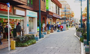 綱島モール商店会