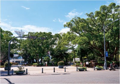 横浜公園