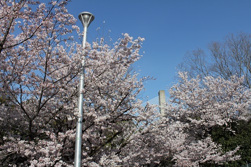 五月山公園