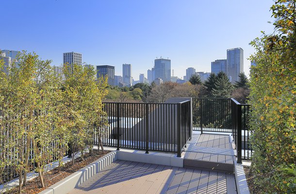 Sky rooh terrace