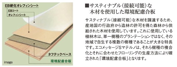 フローリング(エコメッセージSマテルノ)