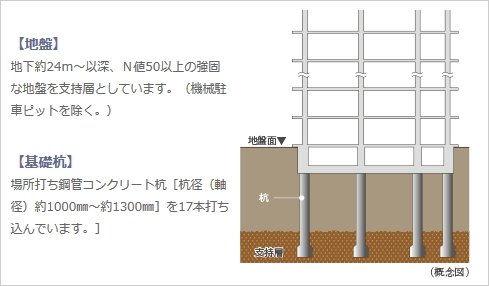 強固な地盤と基礎杭 17本の杭を打設