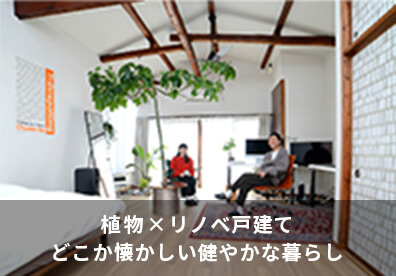 植物×リノベ戸建て、どこか懐かしい健やかな暮らし