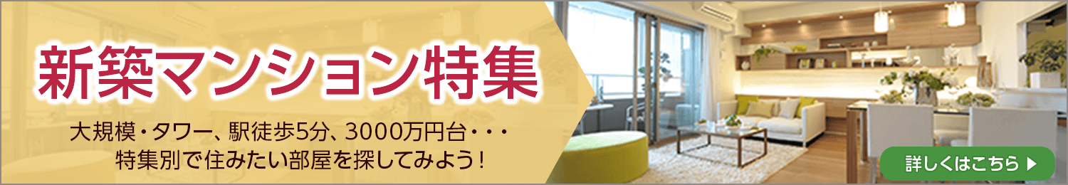 新築マンション特集。大規模・タワー、駅徒歩5分、3000万円台・・・特集別で住みたい部屋を探してみよう！