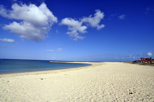 「今年はまだ猛暑日一日もなし」...常夏の島・沖縄は「まるで避暑地」