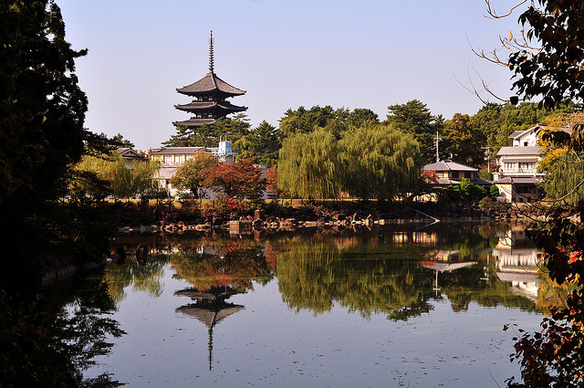 「赤い池」問題に揺れる奈良・荒池、元の美しさを取り戻せるか？
