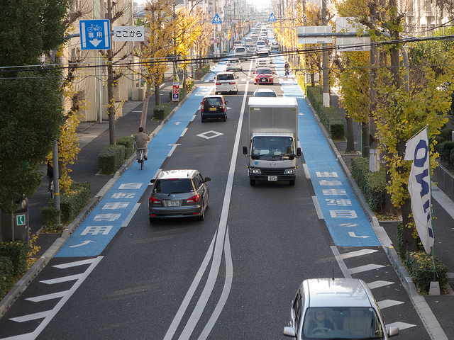 走れる人いるの？ 世田谷の「細すぎる」自転車専用レーン