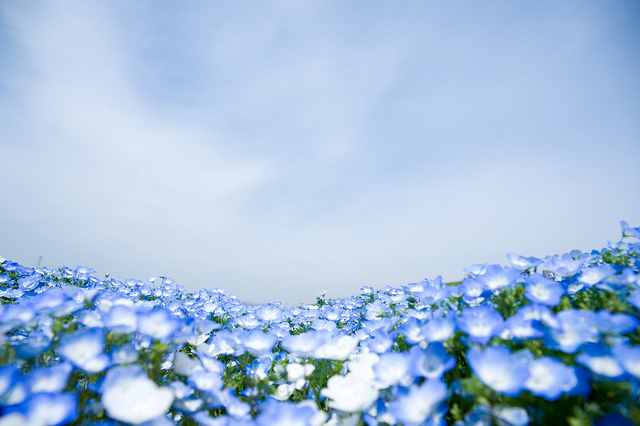 茨城県は、未知の大宇宙と似ている