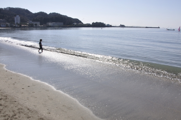 「逗子海岸が規制強化でピンチ」...は本当なの？