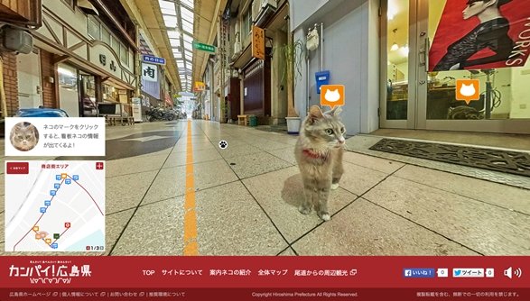 ネコ目線で尾道を観光！ 広島県に誕生した「路地裏観光課」の特設サイトが面白い