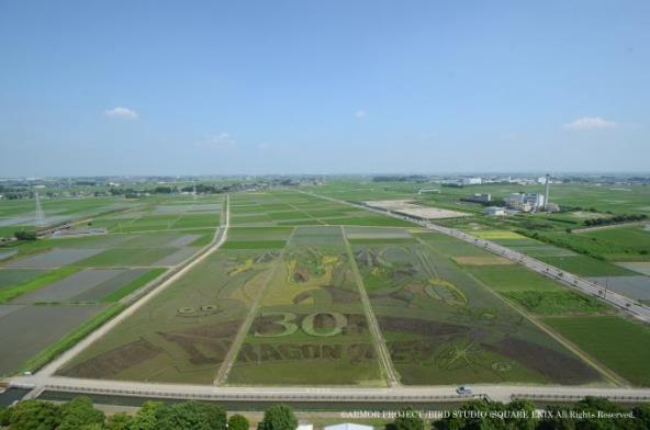 「凄い」「もはやCG」...埼玉・行田の「ドラクエ」田んぼアートが話題騒然！ これは生で見たい