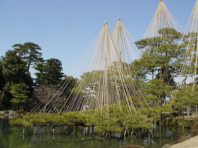 兼六園の「雪吊り」、2016年もスタート