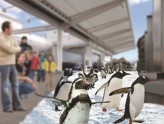 ペンギンを家で飼うことは可能か？ 仙台の水族館が本気でシミュレートした結果は...
