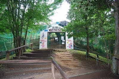 かぶと虫と自然の中で触れ合える施設、比叡山に期間限定オープン