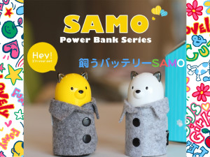 飼うバッテリー「Samo」ちゃん　 ロシア原産のサモエド犬？