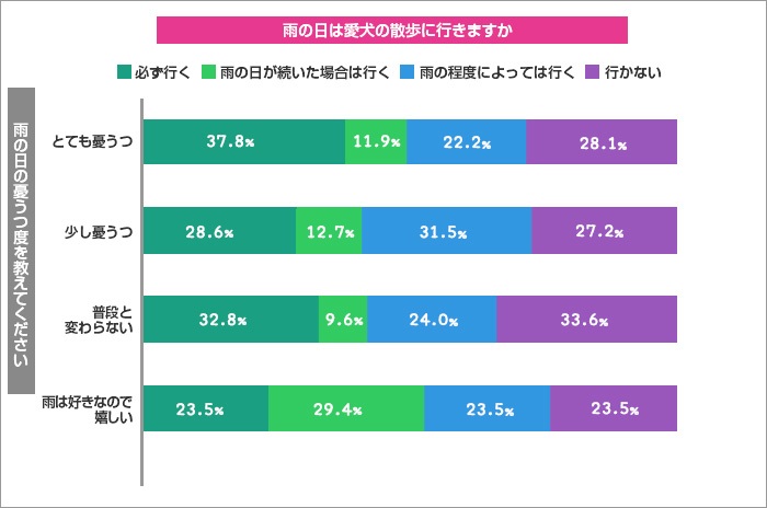 雨の日の愛犬の散歩はどうしてる？ 　散歩時間は短い傾向に