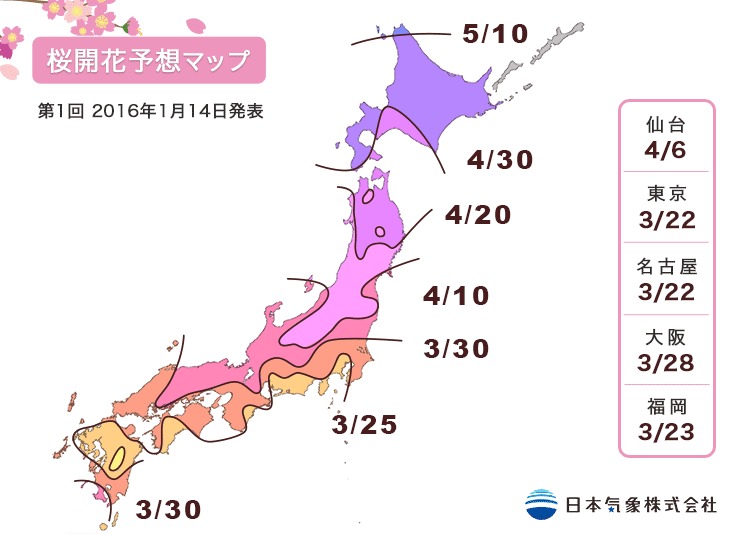 今年の桜はいつ咲くの？　東京は少し早いけど鹿児島は北国みたいな遅さに！
