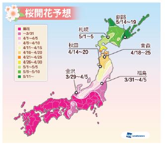 上野の桜は4月1日に満開！　ウェザーニューズの「第五回桜開花予想」