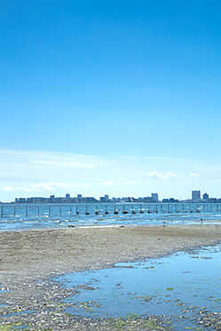 ふなばし三番瀬海浜公園