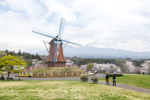 広大な敷地内で家族みんなが楽しめる群馬県前橋市の道の駅「ぐりーんふらわー牧場・大胡」