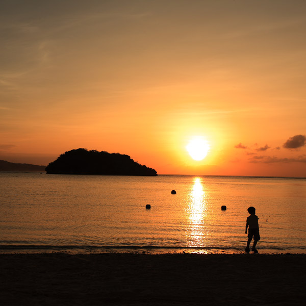 Q.「夏の終わり」はいつですか？ 投票結果