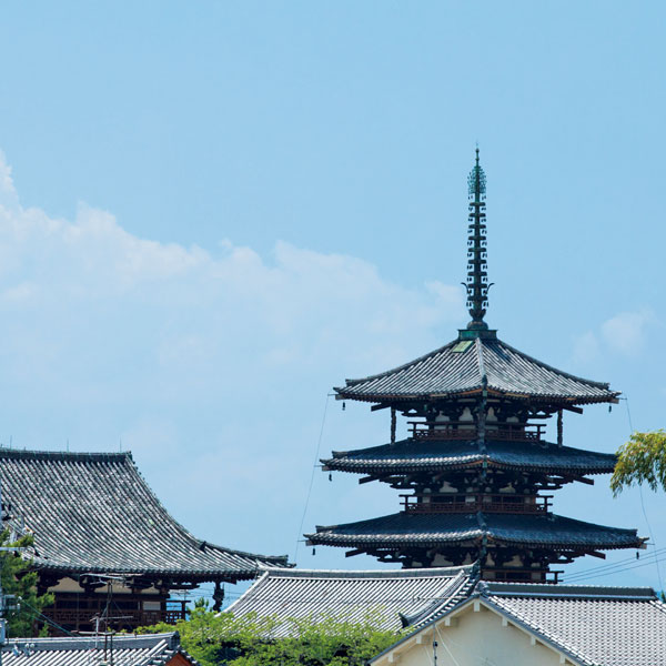 5当地「楽」- 奈良にきたらここに来て！