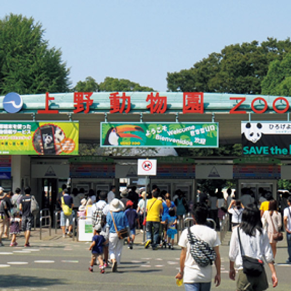 5当地「楽」- 東京・台東区にきたらここに来て！