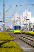 堺の街を走り抜けるチンチン電車