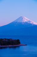 大瀬崎と富士山