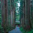 戸隠神社