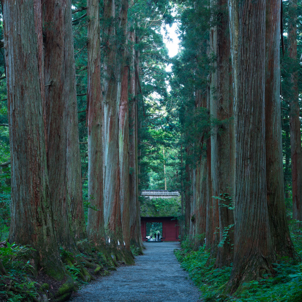 5当地「景」- 長野編　～美しい山河と歴史遺産が彩る風景～