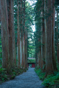 戸隠神社