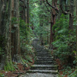 熊野古道（世界文化遺産）