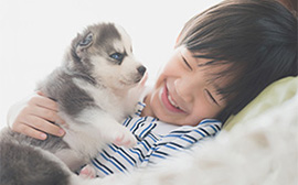 ペットと暮らす人にとって住みやすい街を探すなら