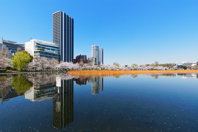 「上野恩賜公園」内の不忍池側から見た池之端エリア。タワーマンションも複数棟見えます