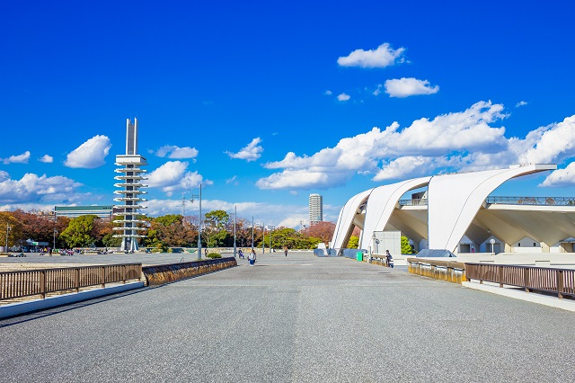 運動施設もあるため舗装された歩きやすい道も多い「駒沢オリンピック公園」。もちろん自然あふれるエリアも楽しめます